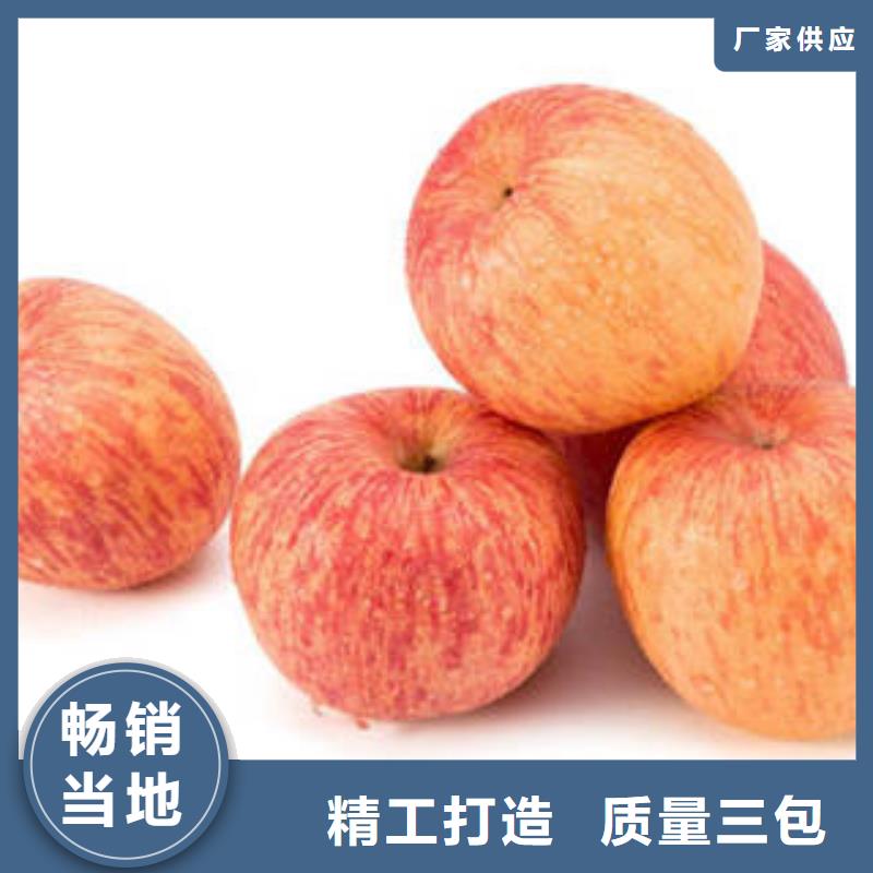 红富士苹果苹果种植基地严格把关质量放心