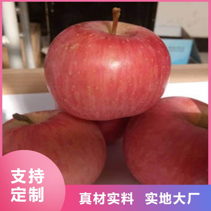 红富士苹果苹果种植基地价格实惠工厂直供