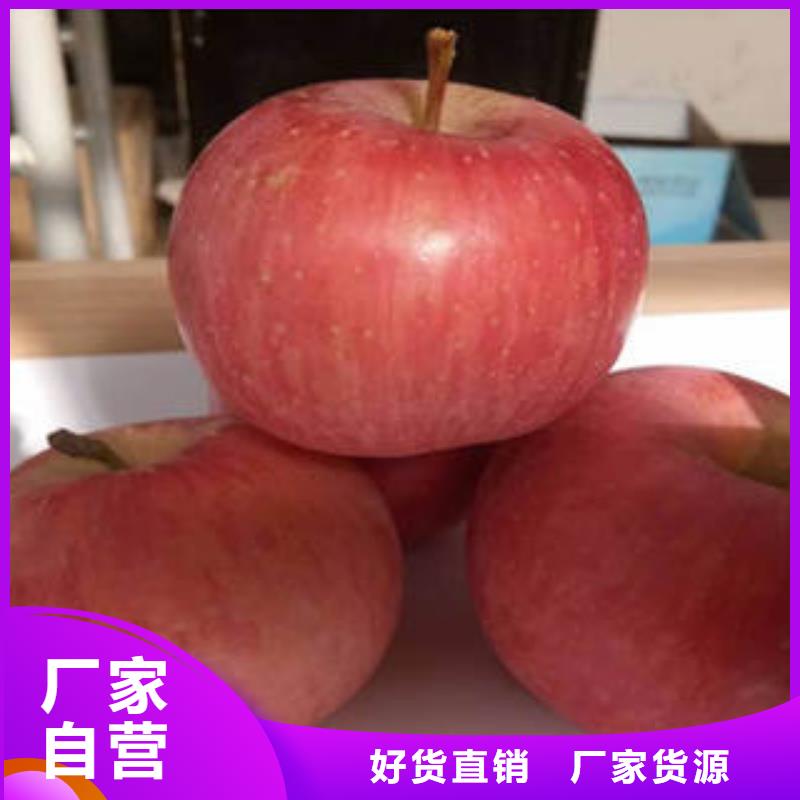 【红富士苹果】嘎啦苹果种类齐全