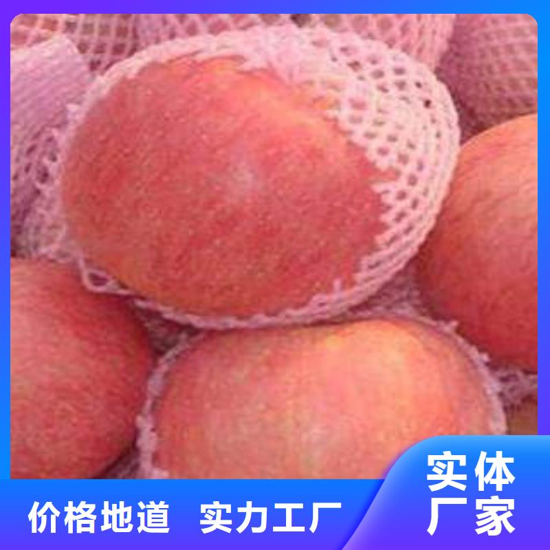 红富士苹果-苹果把实惠留给您