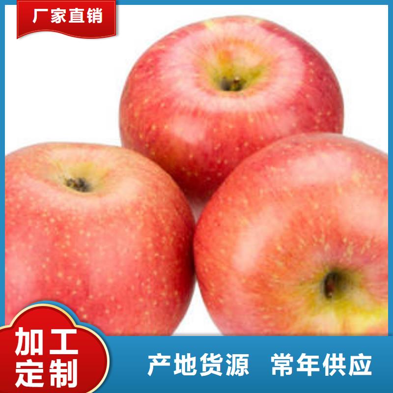 红富士苹果苹果种植基地严格把关质量放心