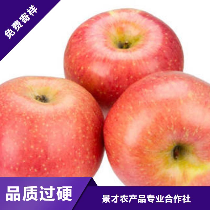 红富士苹果-苹果把实惠留给您