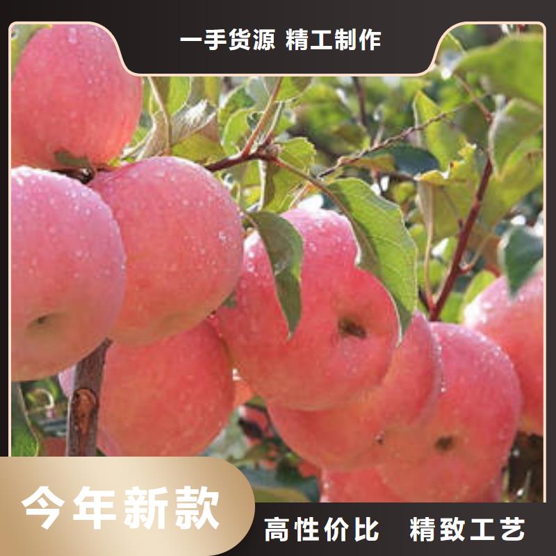 红富士苹果-苹果把实惠留给您