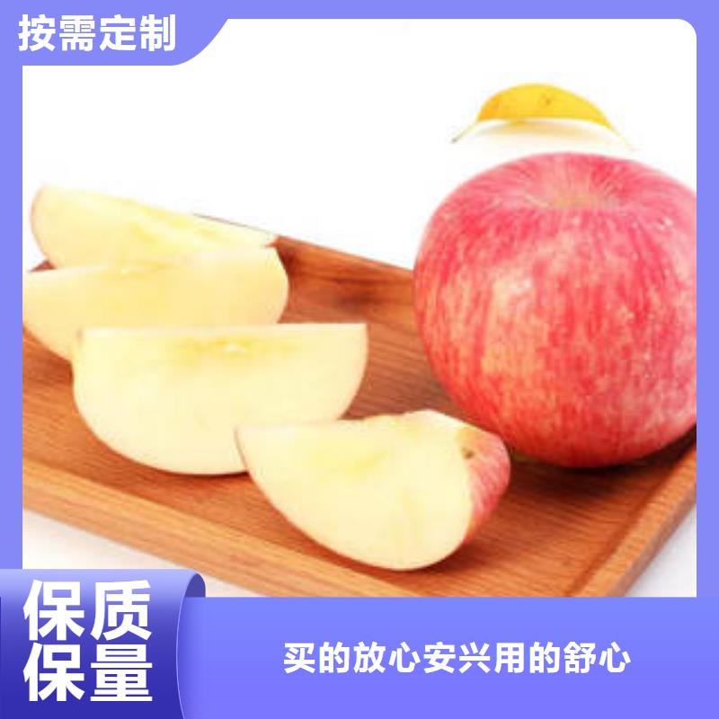 红富士苹果-苹果把实惠留给您