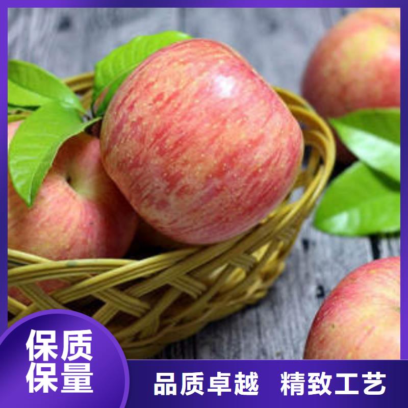 红富士苹果-苹果把实惠留给您