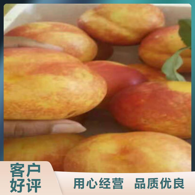 8公分出售