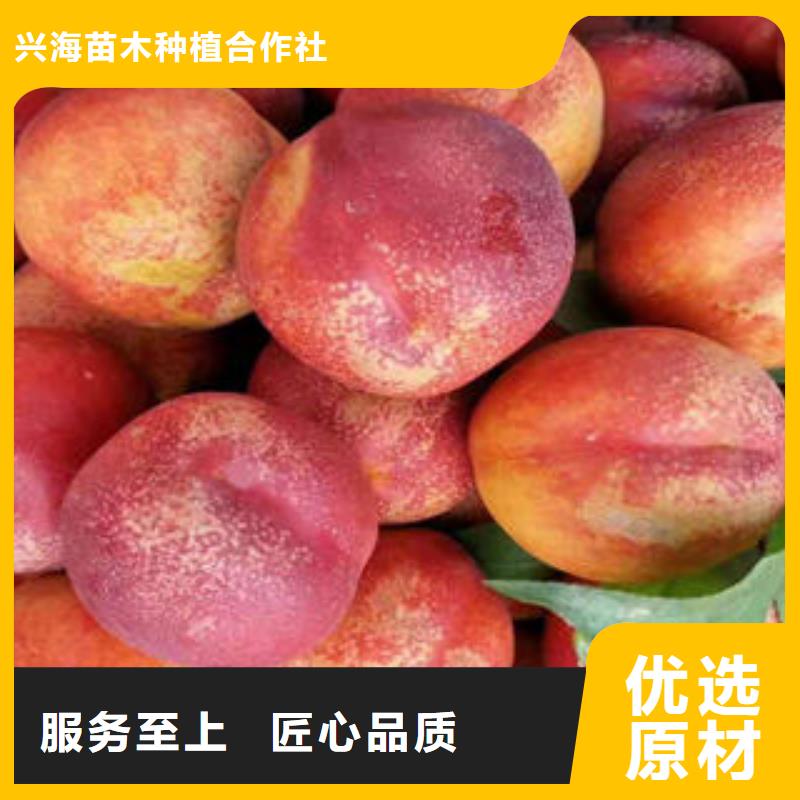 8公分出售