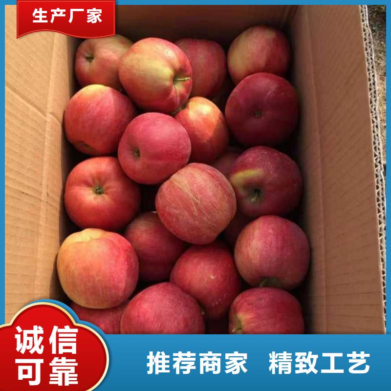 苹果苗核桃苗设备齐全支持定制