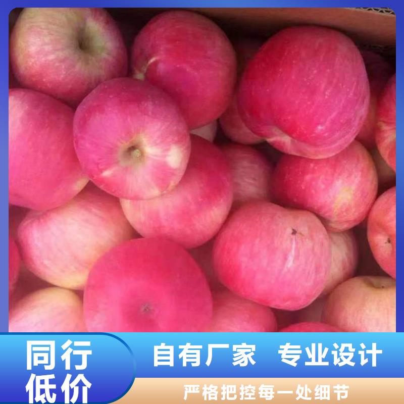 苹果苗核桃苗设备齐全支持定制