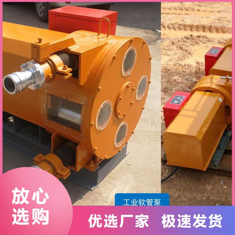 软管泵-拦水带成型机精心选材
