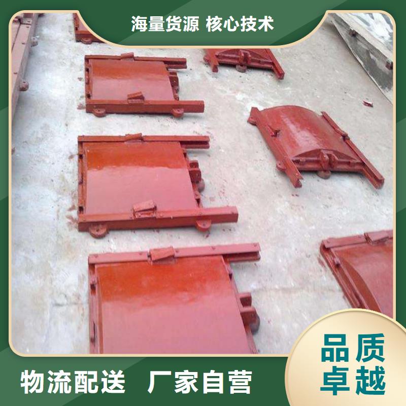 铸铁闸门,渠道闸门产品细节参数