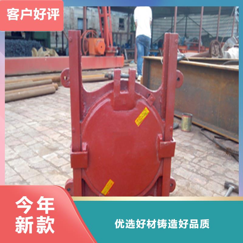 铸铁闸门,渠道闸门产品细节参数