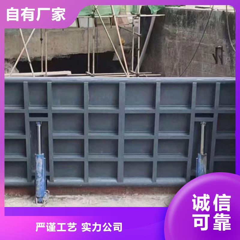 钢坝闸门翻板闸门质量优选