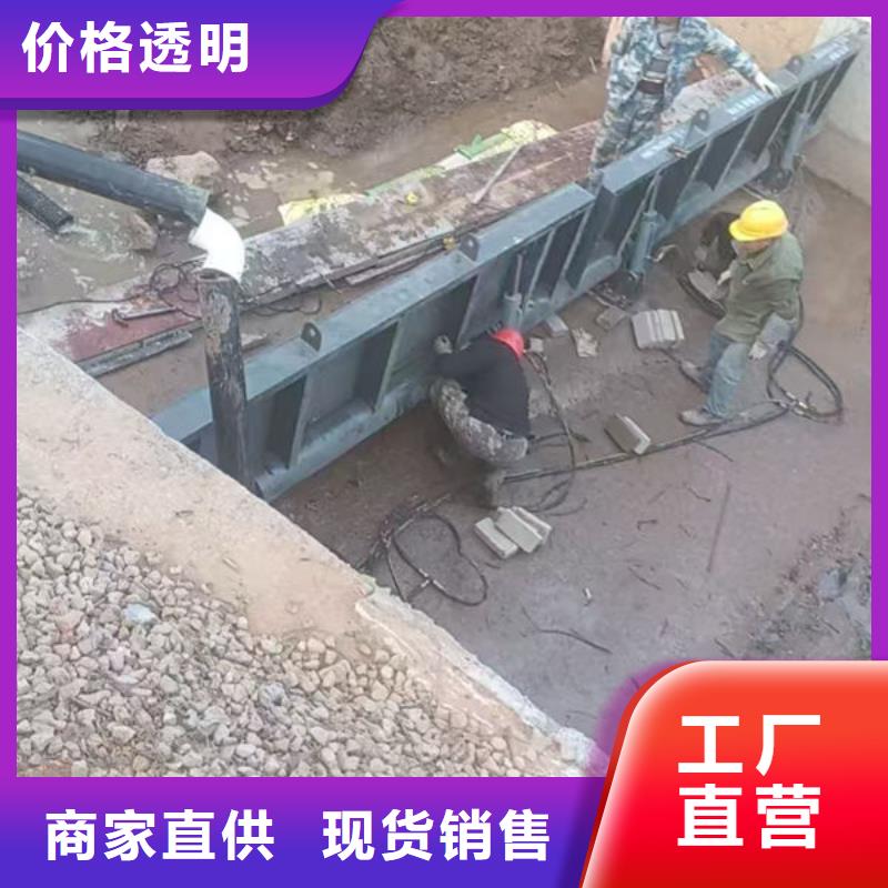 钢坝闸门翻板闸门质量优选