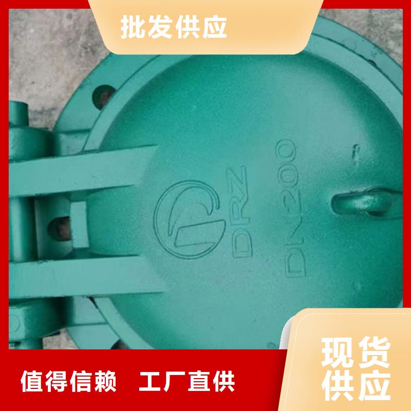 拍门防倒灌拍门一手货源源头厂家