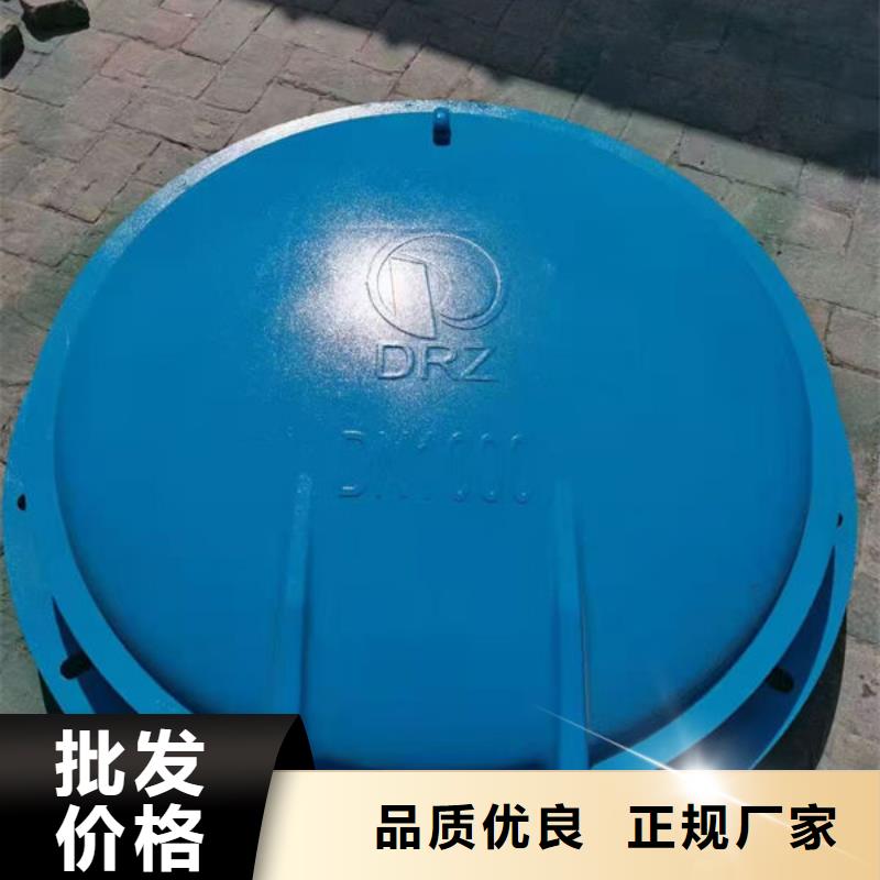 拍门球墨铸铁拍门为品质而生产