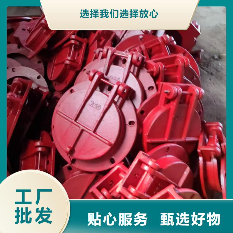 拍门不锈钢拍门N年大品牌