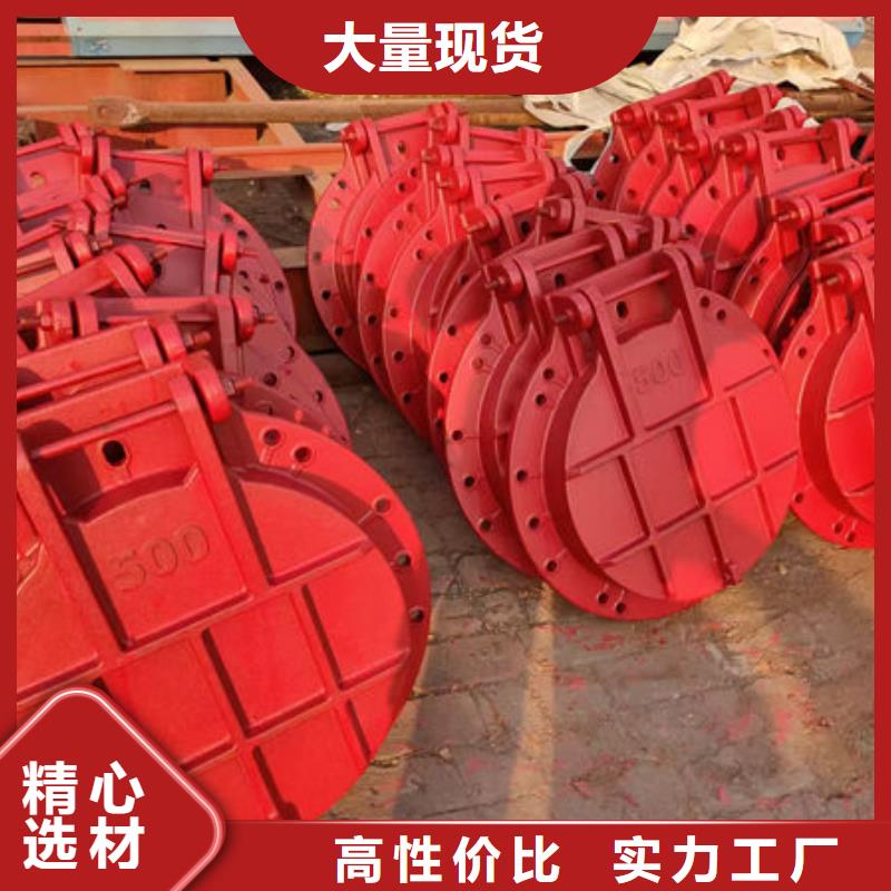 拍门防倒灌拍门一手货源源头厂家