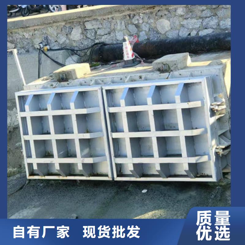 拍门球墨铸铁拍门为品质而生产