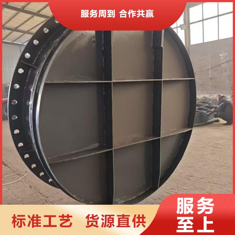 拍门球墨铸铁拍门为品质而生产