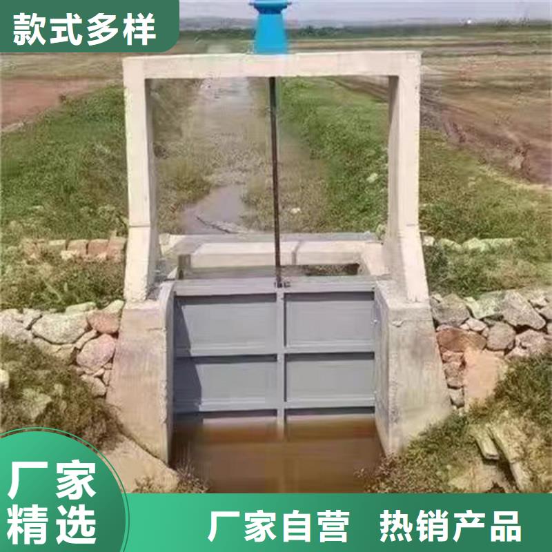 不锈钢闸门,铝合金闸门品种全