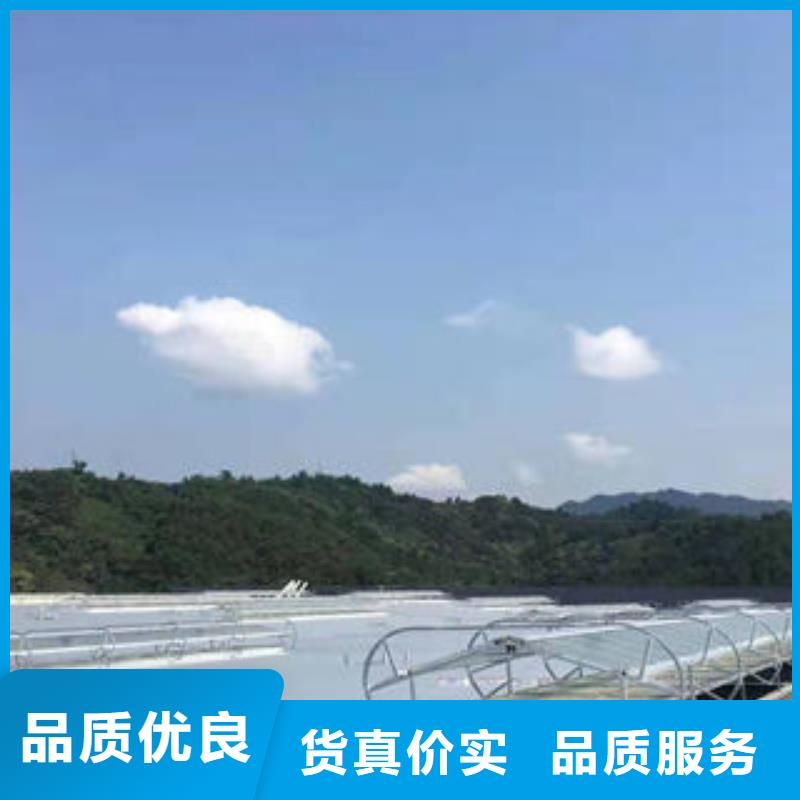 三角形排烟天窗实力厂家