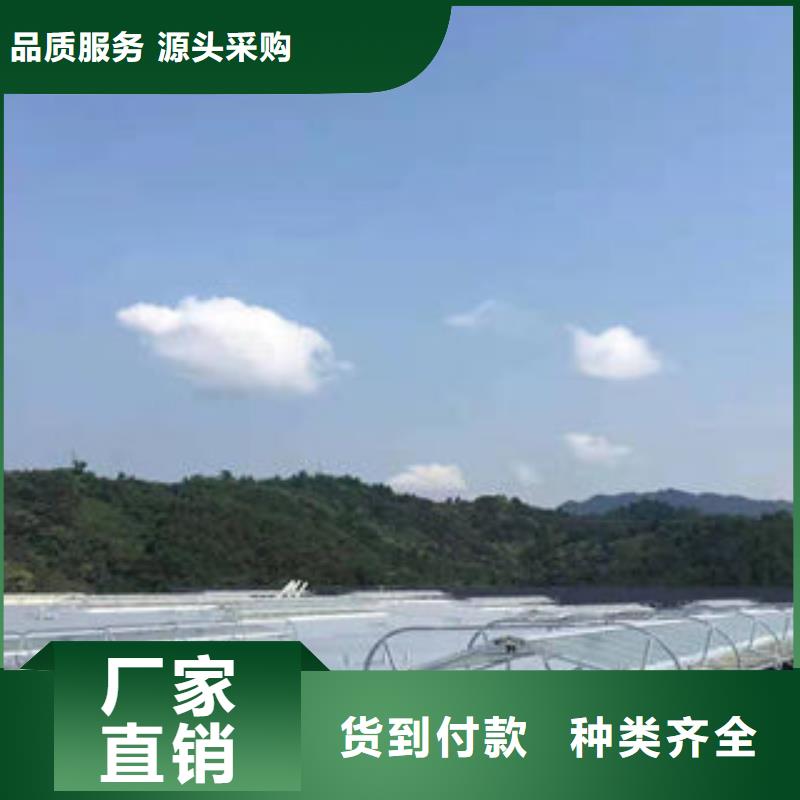 电动排烟天窗零售