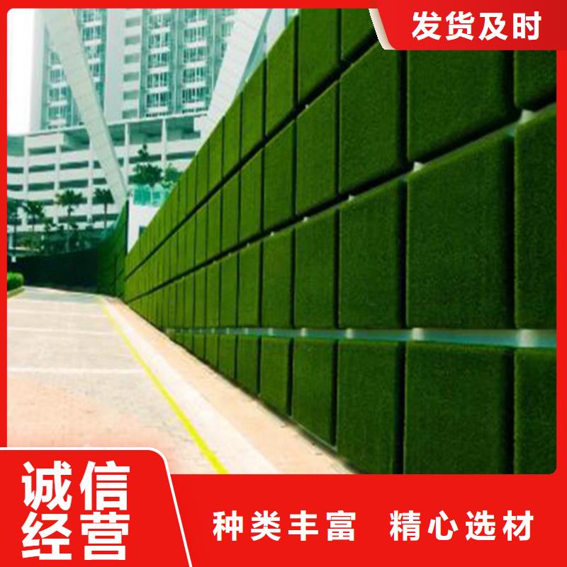 围挡草坪,人造草坪围挡多年行业积累