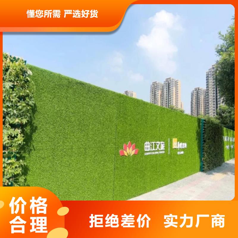 围挡草坪,人造草坪围挡长期供应