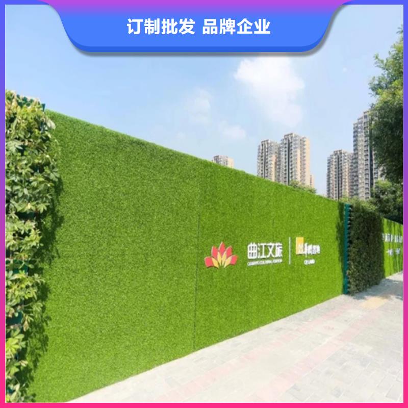 围挡草坪视频-围挡草坪|乐山市|金口河|沙湾|成都|泸州|遂宁|广元|南充|资阳