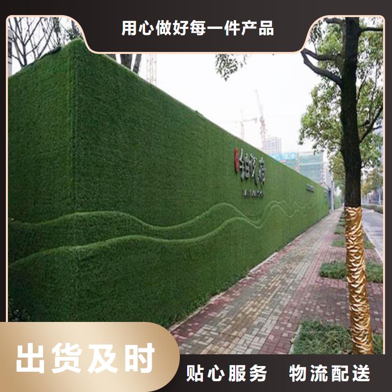 围挡草坪工地人造草坪围挡快速生产