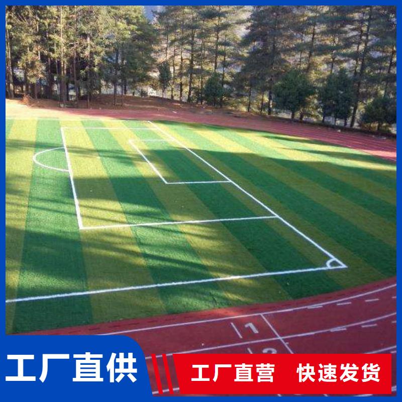 【 塑胶地坪-体育运动场地建设适用范围广】当地品牌