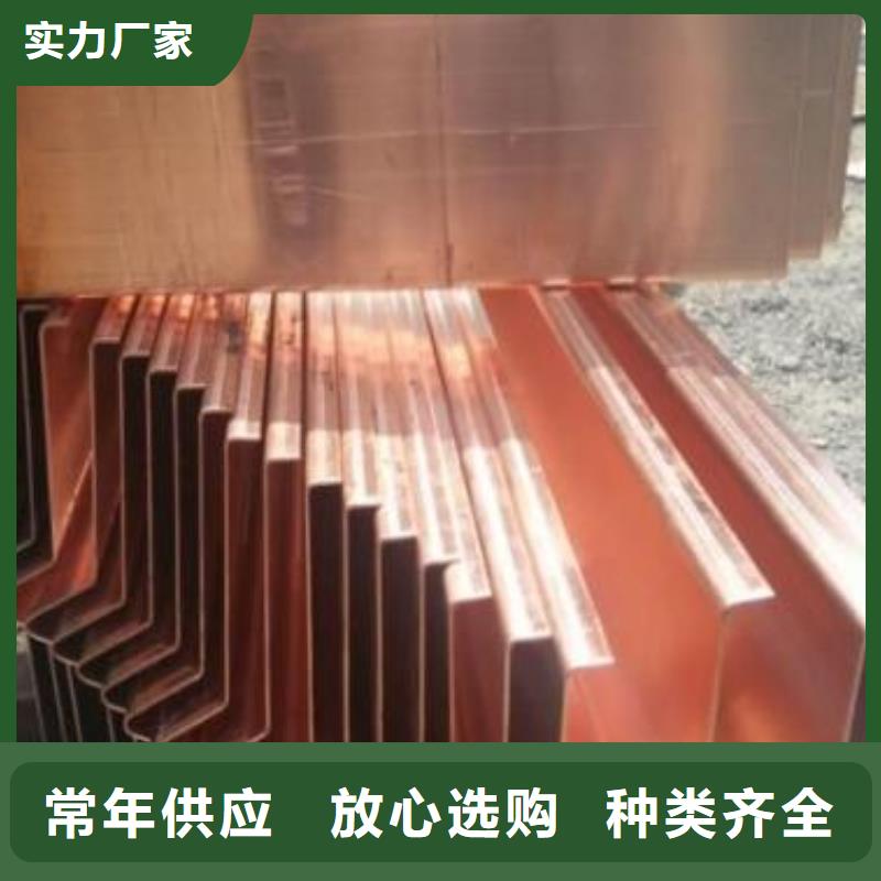 广硕紫铜止水源头工厂