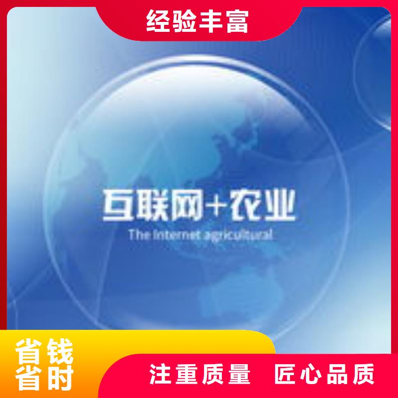 马云网络网络公司专业服务