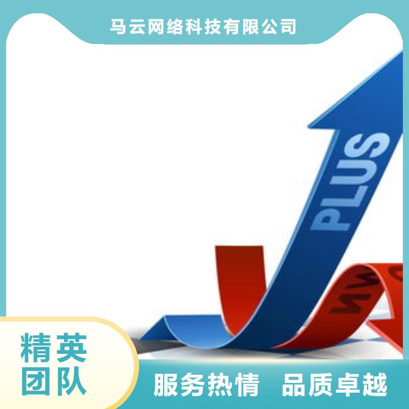 马云网络网络公司专业服务