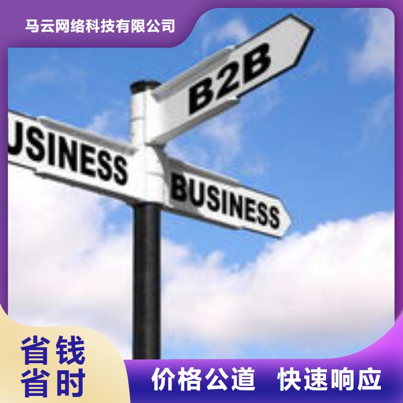 马云网络网络公司专业服务