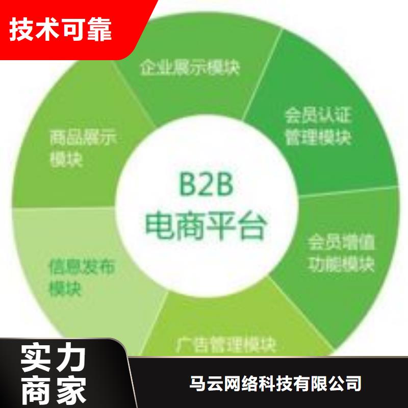 马云网络网络公司专业服务