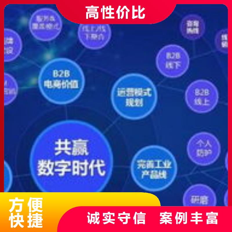 马云网络网络公司专业服务