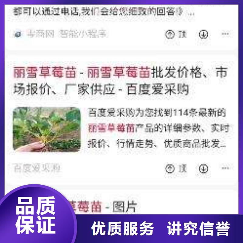 【手机】-网络公司专业