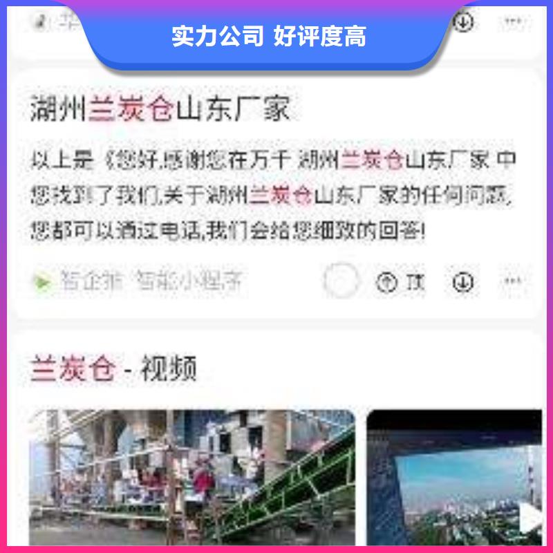 【手机】-网络公司专业