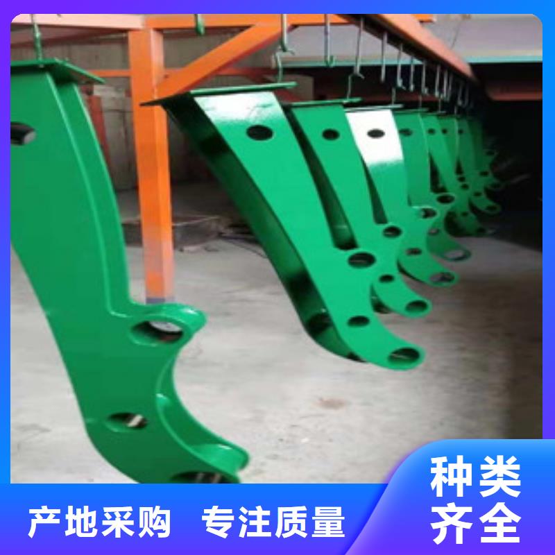 常年供应辰铭护栏-报量