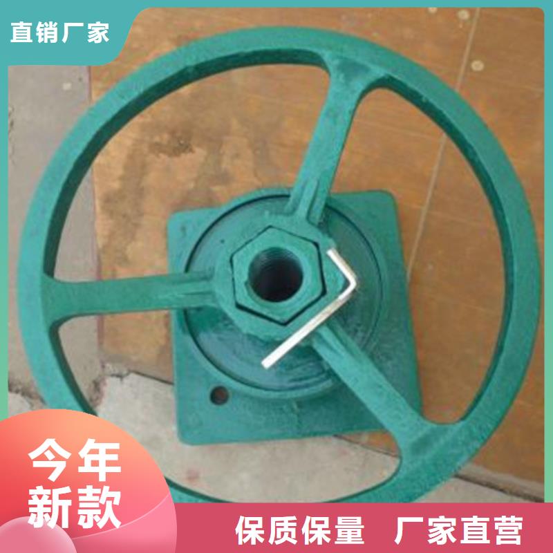 启闭机【铸铁闸门厂家】按需设计