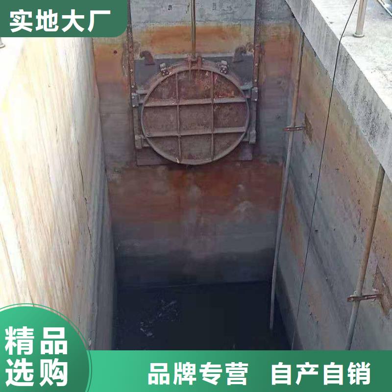 启闭机景观钢坝闸门用心经营