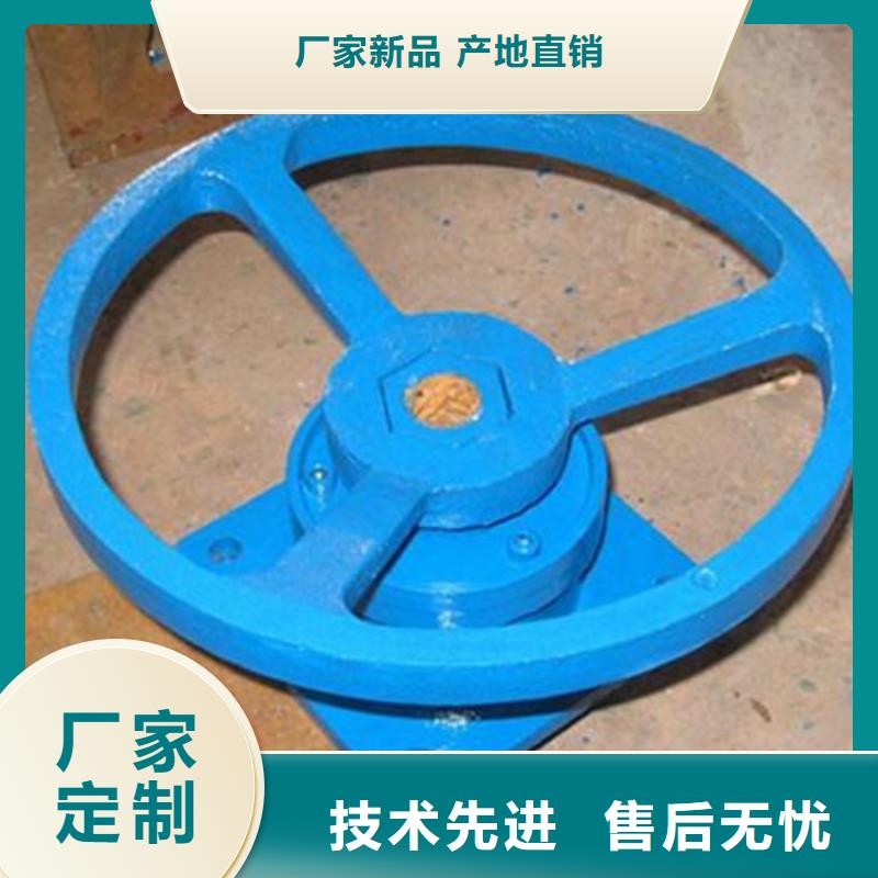 手电两用式启闭机品牌企业