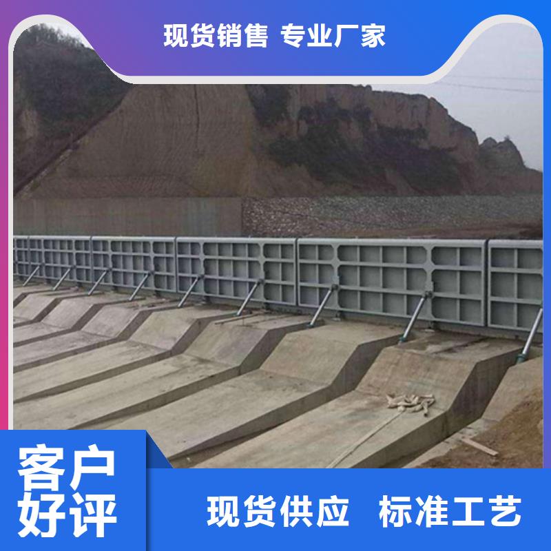 钢闸门-弧形钢闸门追求品质