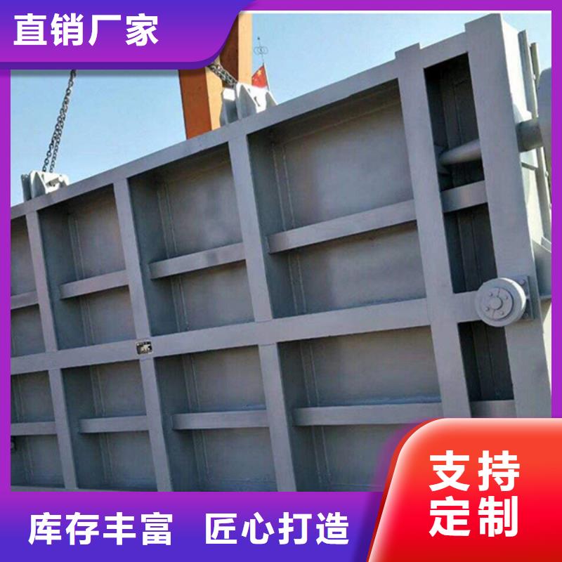 钢闸门 【合页钢坝】经验丰富质量放心