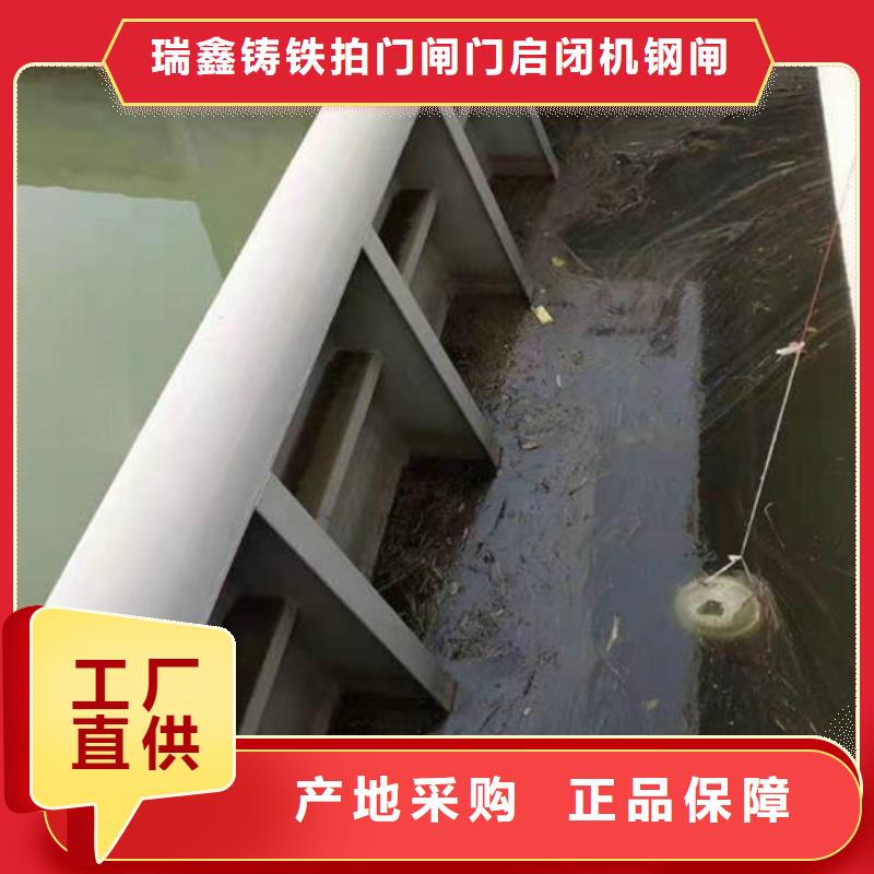 钢制闸门铸钢闸门提供图纸