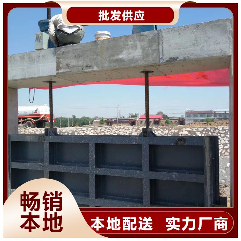 钢闸门清污机多年厂家可靠