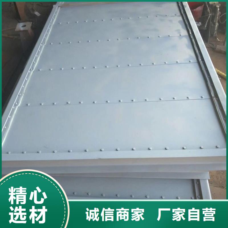 【钢闸门除污机生产加工】