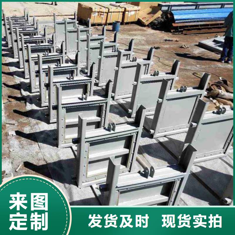 【钢闸门_露顶式钢闸门品质之选】